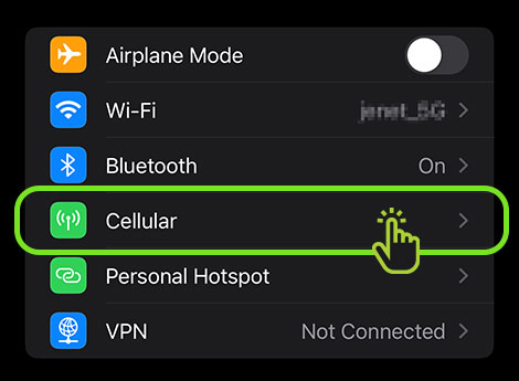 Tap Cellular or Mobile Data from Settings - esim2trip