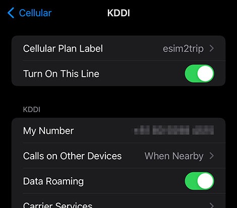 Set it up for Cellular Data and turn Data Roaming on - esim2trip